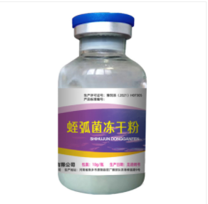 德迪7號 德迪7號